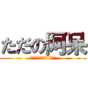 ただの阿呆 (どうしようもないほどの)