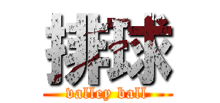 排球 (valley ball)