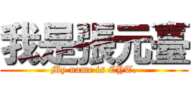 我是張元臺 (My name is CYT.)