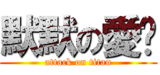 默默の愛妳 (attack on titan)