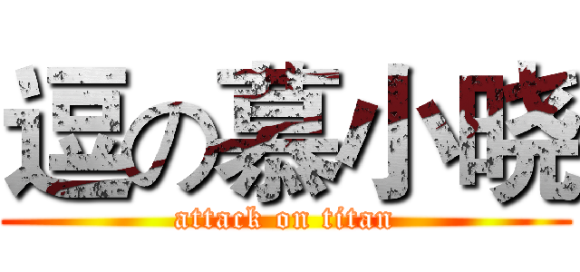 逗の慕小晓 (attack on titan)