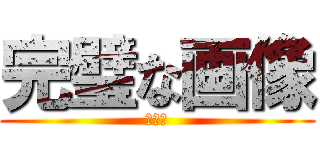 完璧な画像 (ｷﾘｯ)
