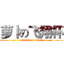 萝卜の飞翔杯 (attack on titan)