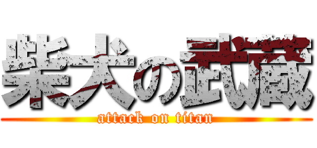 柴犬の武蔵 (attack on titan)