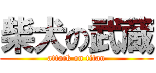 柴犬の武蔵 (attack on titan)