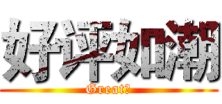好评如潮 (Great！)