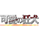 可愛の狂犬 (attack on titan)