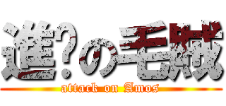 進擊の毛賊 (attack on Amos)