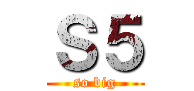 Ｓ５ (so big)