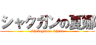 シャクガンの夏娜 (Shakugan no Shana)
