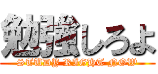 勉強しろよ (STUDY RIGHT NOW)