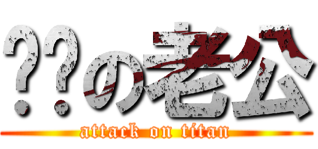 傻傻の老公 (attack on titan)