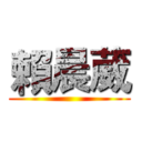 賴晨葳 ()