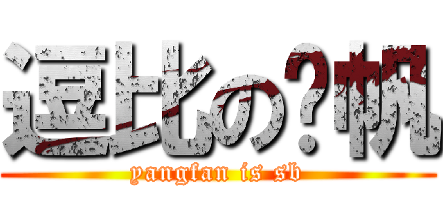 逗比の杨帆 (yangfan is sb)