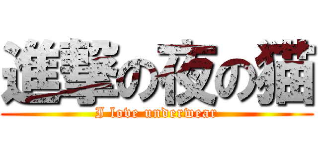 進撃の夜の猫 (I love underwear)