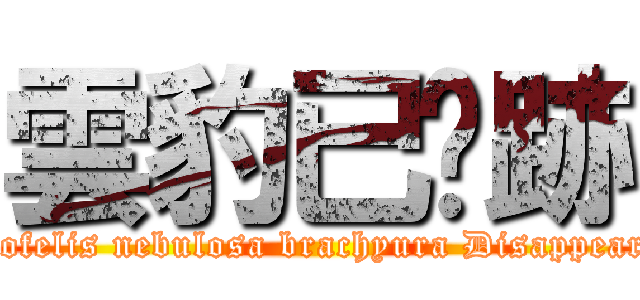 雲豹已絕跡 (Neofelis nebulosa brachyura Disappeared)