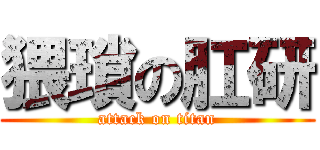 猥瑣の肛研 (attack on titan)