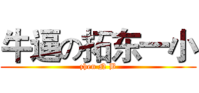 牛逼の拓东一小 (zhen N B)