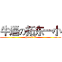 牛逼の拓东一小 (zhen N B)