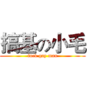 搞基の小毛 (fuck gay man)