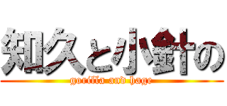 知久と小針の (gorilla and hage)