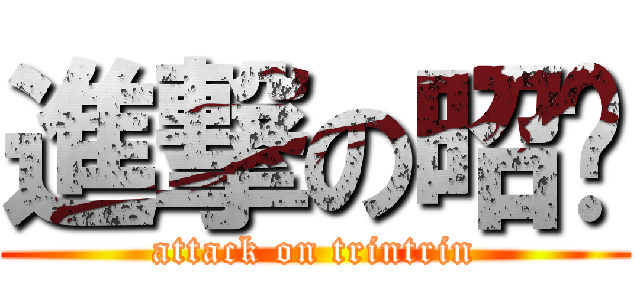 進撃の昭婷 (attack on trintrin)