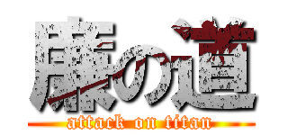 廉の道 (attack on titan)