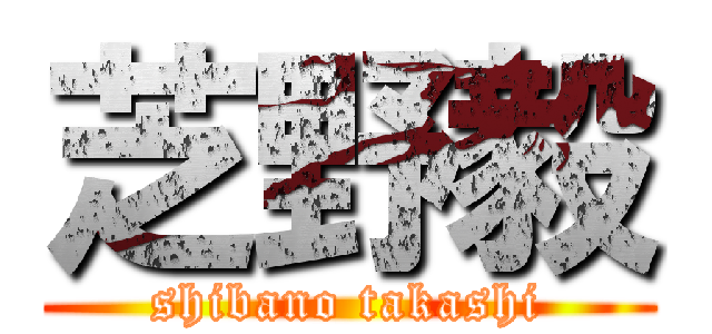 芝野毅 (shibano takashi)