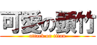 可愛の顗竹 (attack on titan)