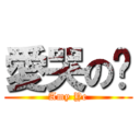 愛哭の璇 (Amy Ye)