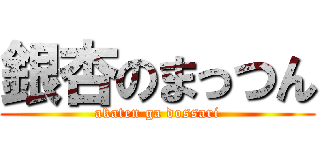 銀杏のまっつん (akaten ga dossari)