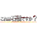 これは石橋ですか？ (yes this is a mizuhara)