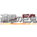 進擊の巨兔 (attack on Rabbit)