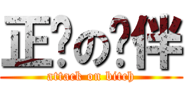 正义の伙伴 (attack on bitch)