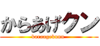 からあげクン (karaagekunn )