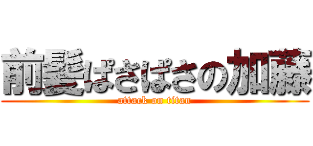 前髪ぱさぱさの加藤 (attack on titan)