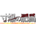 寸爆の肥昌 (broken window)