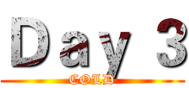 Ｄａｙ ３ (COLD)