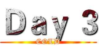 Ｄａｙ ３ (COLD)