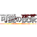 可愛の夜茶 (attack on titan)