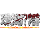 珠海粵辯 (attack on debate)