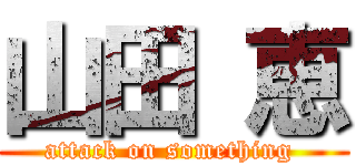 山田 恵 (attack on something )