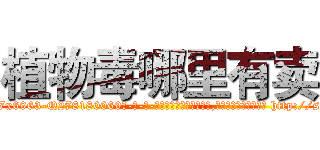 植物毒哪里有卖 (植物毒哪里有卖【电-186x2687x6963-Q278180069元-吉-药-业】我们做的是长期生意,靠的是老客户长期支持 http://sngk.net/Wpy8kw
)