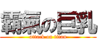 霸氣の巨乳 (attack on titan)