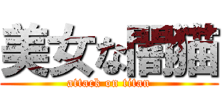 美女な闇猫 (attack on titan)