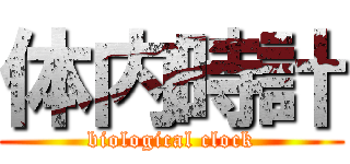 体内時計 (biological clock)