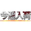 今週入荷 (Stock this week)