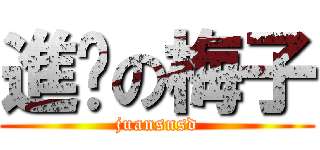 進擊の梅子 (juansnsd)