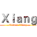 Ｘｉａｎｇ (Taiwan XIang)