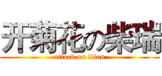 开菊花の柴瑞 (attack on titan)